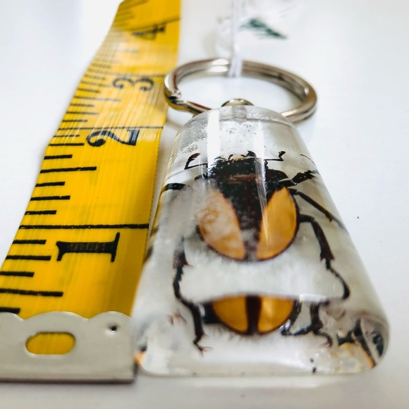 Natural beetle in acrylic resin keychain - Picture 6 of 8